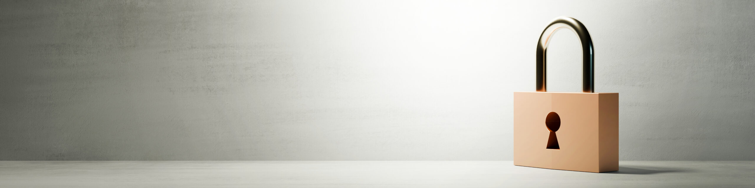 プライバシーポリシー