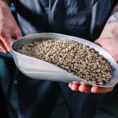 防災士が解説する「今日の防災豆知識 ⑰」 ～ 台風 について～