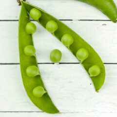 防災士が解説する「今日の防災豆知識 ⑯ 」 ～エルニーニョ現象～